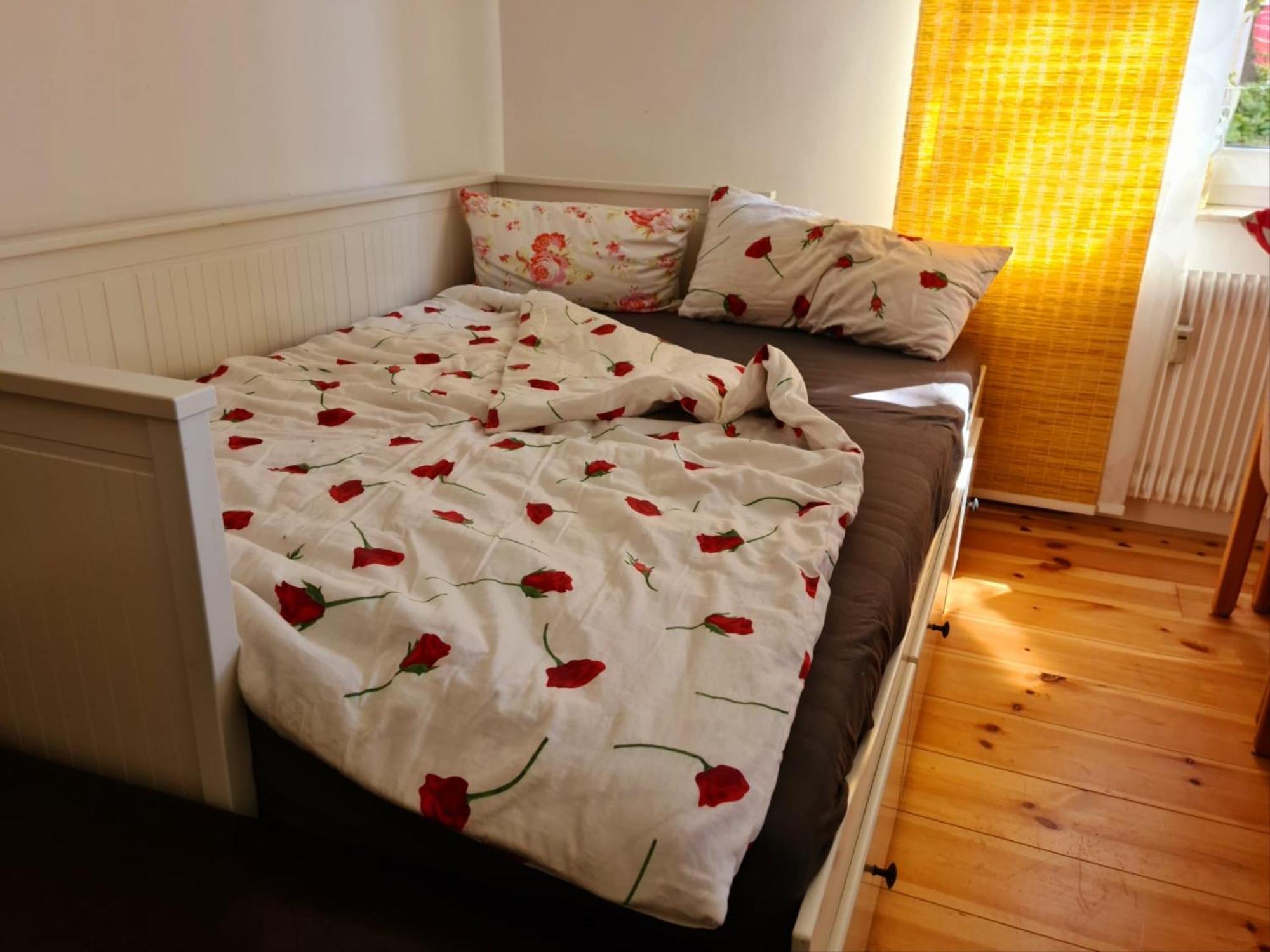Nana-Eg-80M2 Sanierter Altbau-Parkplatz-Kleiner Garten-Wlan-Netflix-2Zimmer-Kueche-Dusche-Wanne-Waschmaschine 오버하우젠 외부 사진